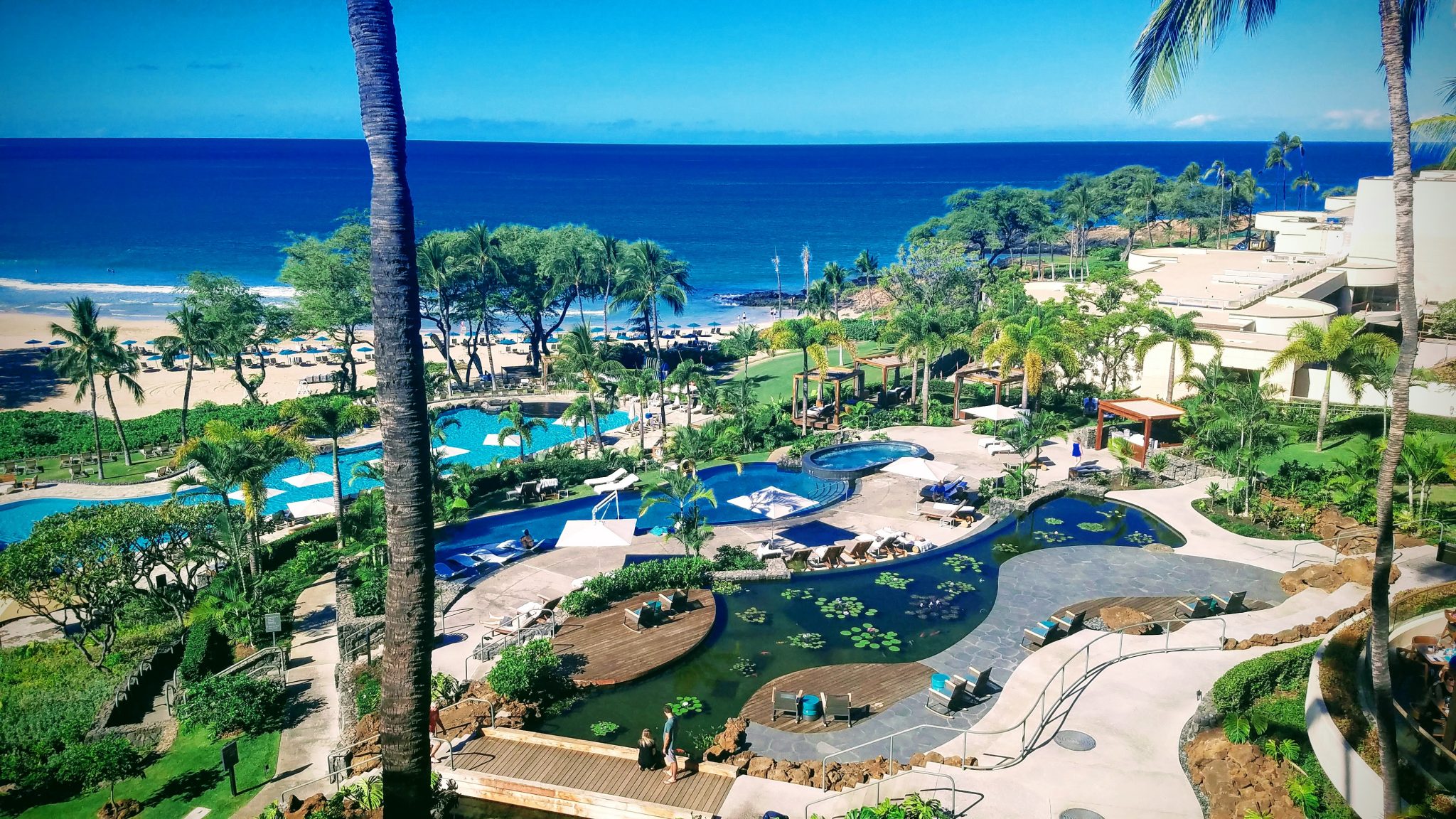 Soak Up the Sun at Echo Hawaii
