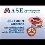 Bundle of Valve Pocket Guidelines (6 Valvular Pocket Guides)