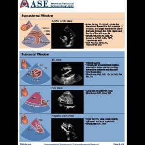Comprehensive TTE Guideline Binder Insert Bundle (4 Binder Inserts)