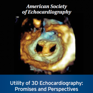 Utility of 3D Echocardiography: Promises and Perspectives