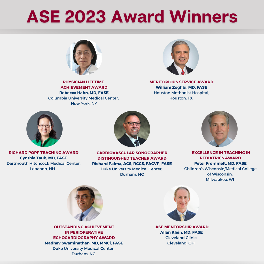 Past Winners  AEI Professional Project Award