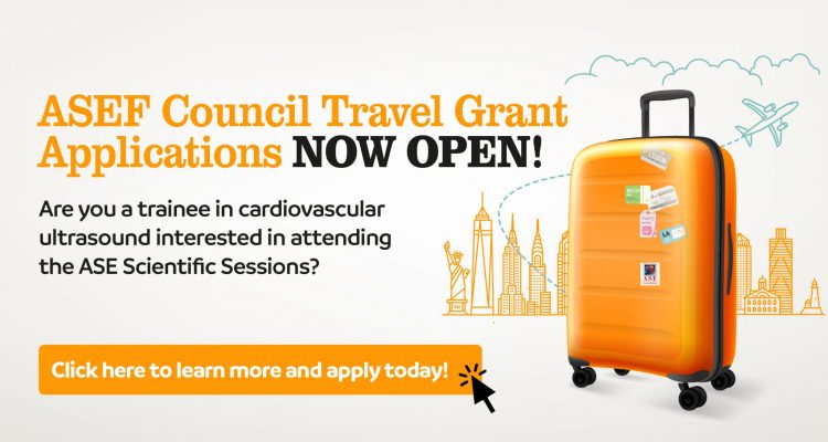 ASEF Council Travel Grant Application