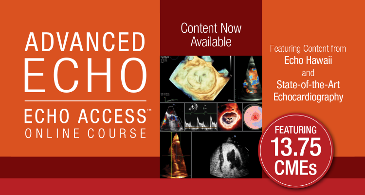 Advanced Echo Access