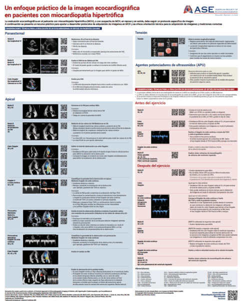 A Practical Approach to Echocardiographic Imaging in Patients with Hypertrophic Cardiomyopathy (Spanish-Translated)