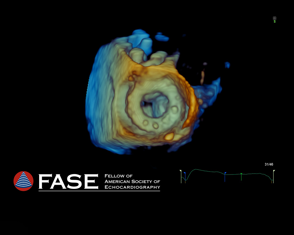 FASE block Fellows of the ASE