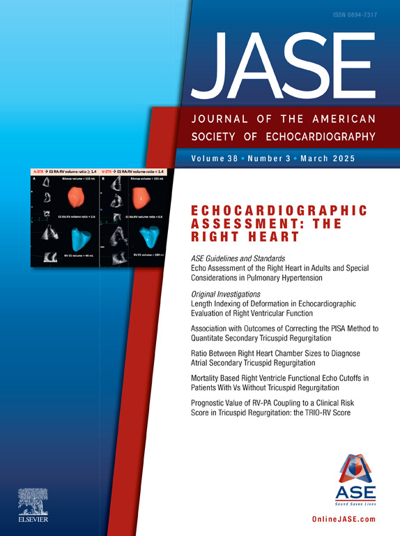 JASE 2025 March Cover Image