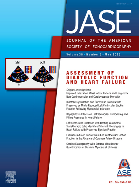 JASE May 2025 Cover Image