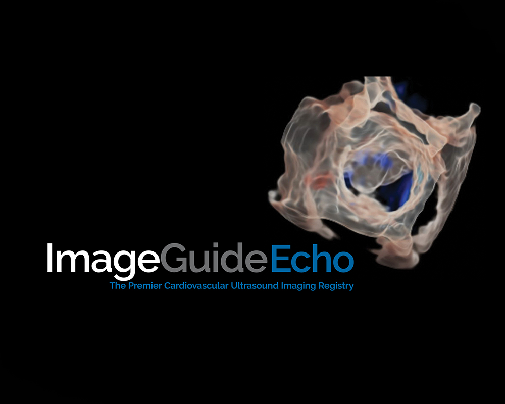 ImageGuideEcho Registry