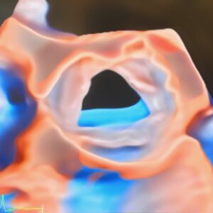 3D true view AV open