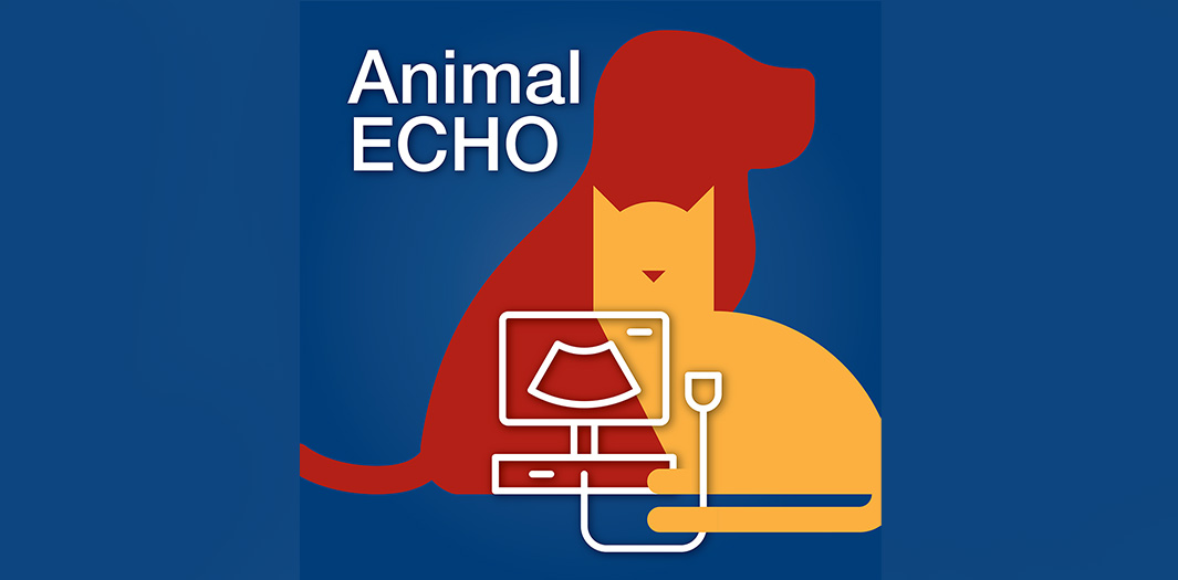 Animal Echo