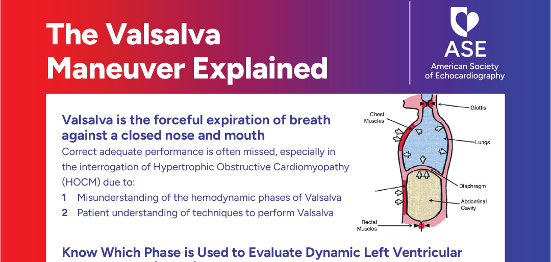 The Valsalva Maneuver Explained
