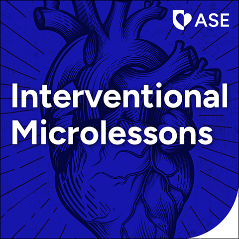 Advanced Echocardiography Protocols for Structural Heart Interventions