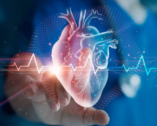 Leaky Heart Valve