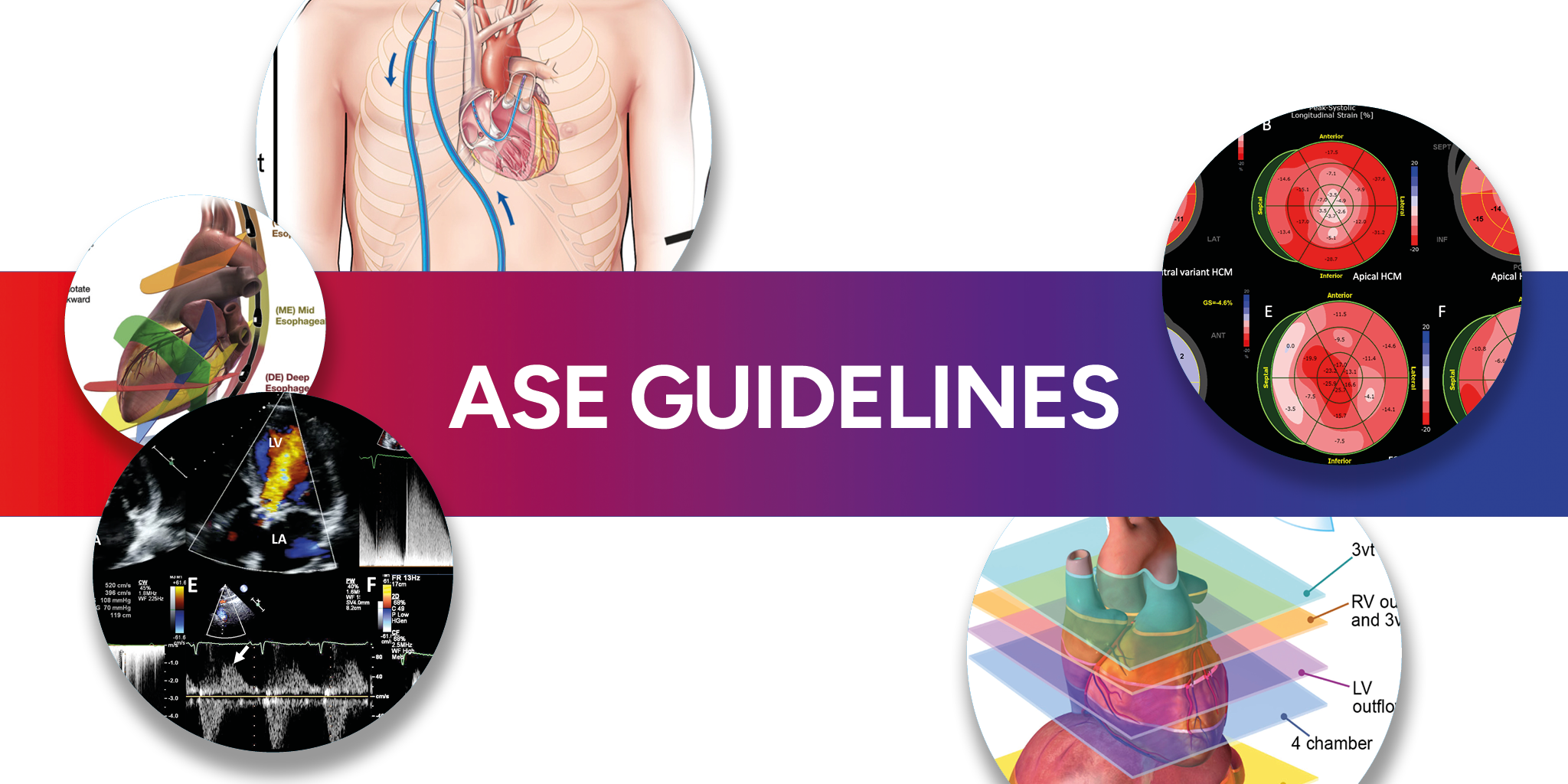 Guidelines Banner